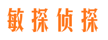 镇平市婚外情调查